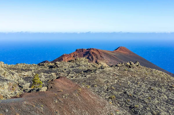 Uitzicht Oceaan Het Zuiden Van Palma Met Een Enkele Groene — Stockfoto