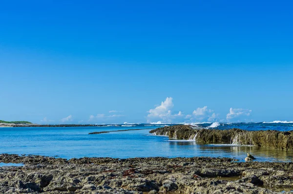 Coast Pointe Des Chateaux Guadeloupe — Stock Photo, Image