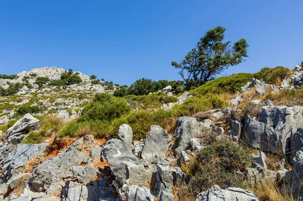 Blick Über Weiße Felsen Und Sträucher Von Lasithi Beton Griechenland — Stockfoto