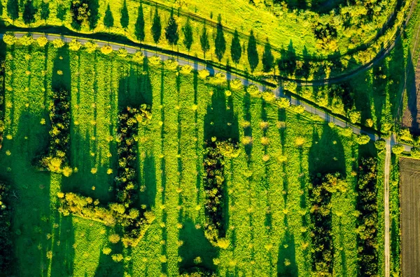 Weergave Van Velden Weiden Avondzon Vanuit Lucht — Stockfoto