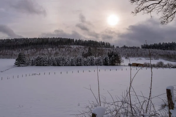 Karlı alanları ve ormanlar, üzerinde gökyüzü güneş, Brilon, Almanya ile akşam göster