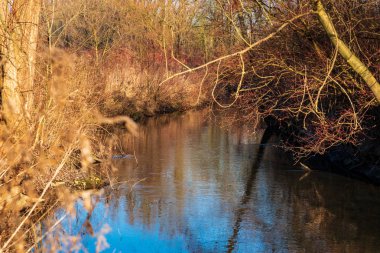 Küçük nehir sabah güneşin, Bochum, Almanya