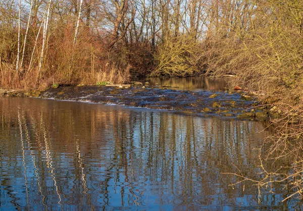 Naturliga Störtflod Damm Vintern Reflektioner Träd Sjön — Stockfoto