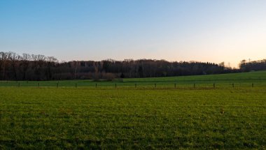 Alacakaranlıkta orman ve tarla manzarası harika, Essen, Almanya