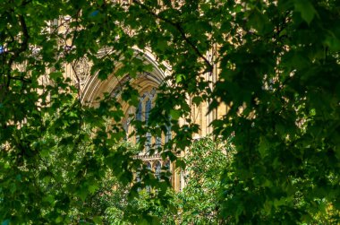 Behind trees hidden gothic facade in London