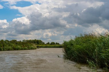 Friesland, Aşağı Saksonya, Almanya 'da mavi gökyüzünde kamış ve dramatik bulutlarla dolu bir lağım manzarası