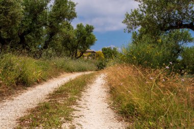 Çayırlardan ve zeytinliklerden geçen çakıl yolu, arka plandaki çiftlik evi, Zakynthos, Yunanistan