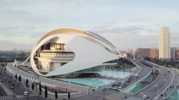 Spain, Valencia, City of Arts and Sciences, aerial shoot, top view — Stock Video