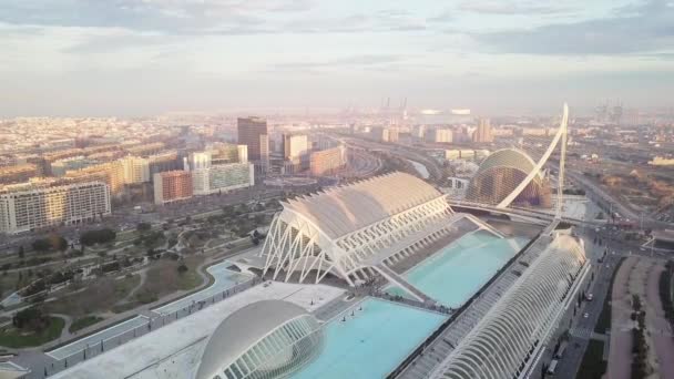 Espagne, Valence, Cité des arts et des sciences, prise de vue aérienne, vue sur le dessus — Video