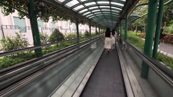 La gente va en una escalera mecánica que atraviesa el parque — Vídeo de stock