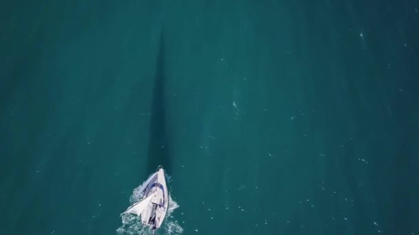 孤独的帆船犁 expance 的海洋, 空中拍摄。游艇从无人机. — 图库视频影像