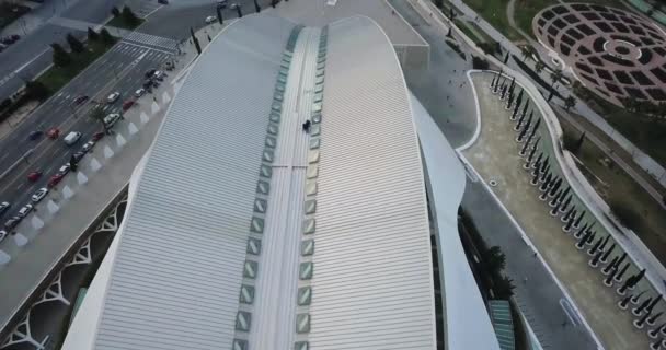 ESPAÑA, VALENCIA - 14 DE FEBRERO DE 2018 Ciudad de las Artes y las Ciencias, tiro aéreo — Vídeo de stock