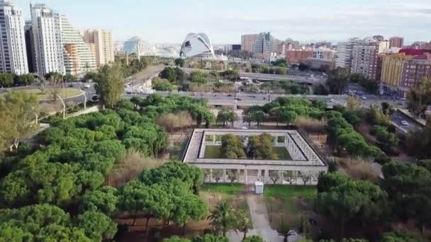 ESPAÑA, VALENCIA - FEBRERO, 14 2018 Ciudad de las artes y las ciencias, tiro aéreo — Vídeos de Stock