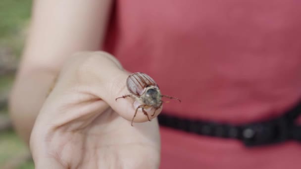 Cámara lenta de cerca el cockchafer despega de la mano de la chica — Vídeo de stock