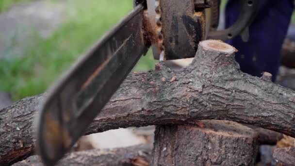 Uomo segare legno con motosega, trucioli, sega polvere cadere al rallentatore — Video Stock