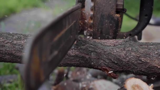 Slow Motion Man Sawing Wood Chainsaw Chips Saw Dust Falling — Stock Video