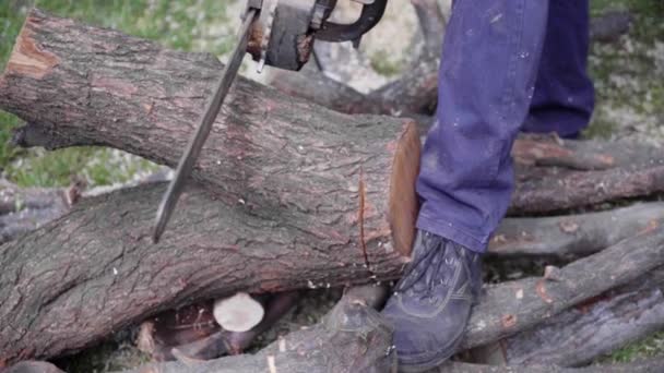 Homem serrar madeira com motosserra, chips, viu poeira caindo em câmera lenta — Vídeo de Stock