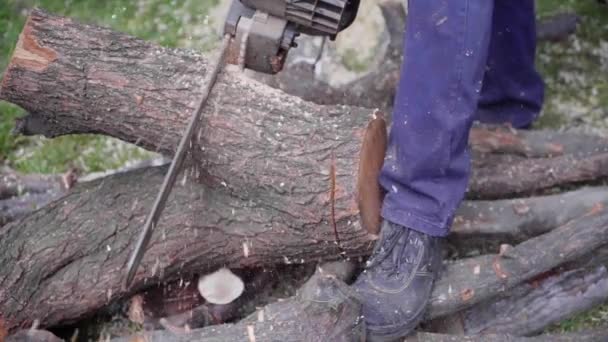 Άνθρωπος πριόνισμα ξύλου με αλυσοπρίονο, τσιπ, πριονίδι πέφτει σε αργή κίνηση — Αρχείο Βίντεο