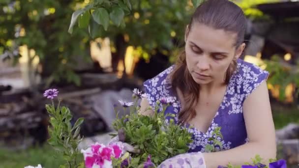 Jonge vrouw werkt bij haar tuin — Stockvideo