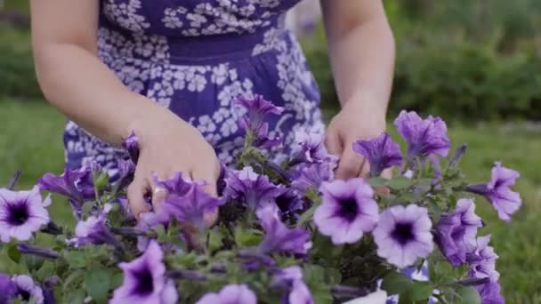 Jeune femme travaille dans son jardin — Video