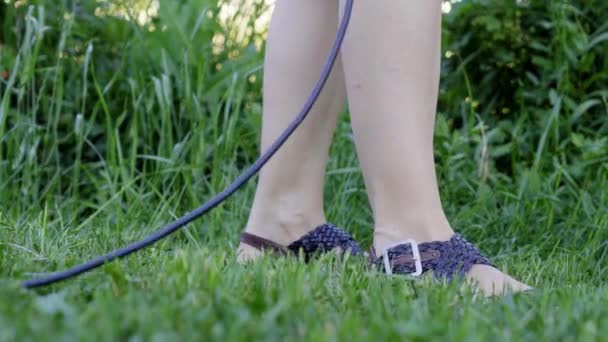 Genç kadın, çim biçme makinesi ile onun owm ev bahçesinde yeşil çim kesme. 4k — Stok video