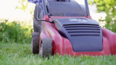Genç kadın, çim biçme makinesi ile onun owm ev bahçesinde yeşil çim kesme. 4k