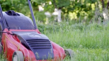 Genç kadın, çim biçme makinesi ile onun owm ev bahçesinde yeşil çim kesme. 4k