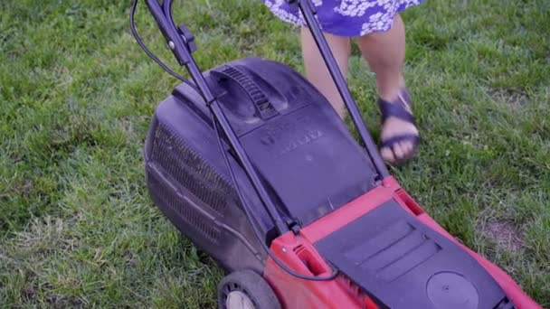 Mujer joven cortar hierba verde en su patio de casa búho con cortacésped. 4K — Vídeo de stock