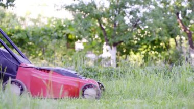 Genç kadın, çim biçme makinesi ile onun owm ev bahçesinde yeşil çim kesme. 4k