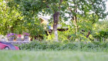 Genç kadın, çim biçme makinesi ile onun owm ev bahçesinde yeşil çim kesme. 4 k