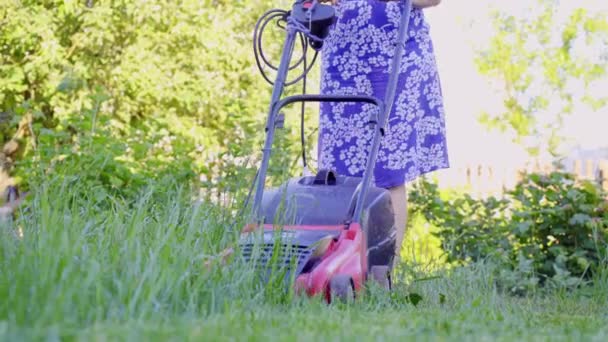 Young woman cut green grass in her owm home yard with lawn mower. 4K — Stock Video