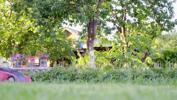 年轻女子用割草机在关爱家院子里割绿草 在4K — 图库视频影像