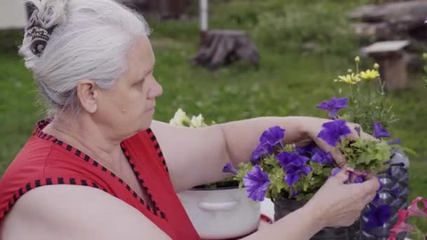 Senior woman works at her garden — Stock Video