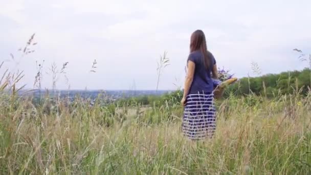 Jong meisje klimt de heuvel en verzamelt een boeket van wilde bloemen — Stockvideo