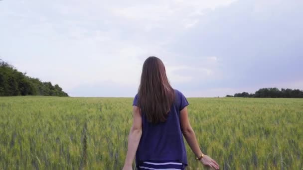 Sonriente chica está caminando a través del campo de trigo al atardecer — Vídeo de stock