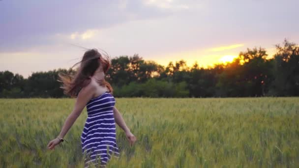 Sonriente chica está caminando a través del campo de trigo al atardecer — Vídeo de stock