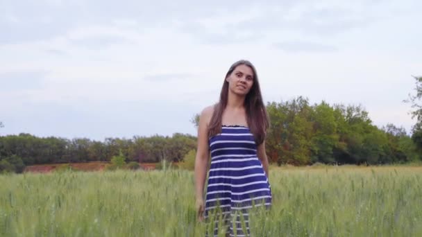 Sonriente chica está caminando a través del campo de trigo al atardecer — Vídeos de Stock