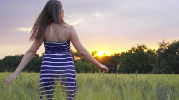 Sorrindo menina está andando pelo campo de trigo e vira ao pôr do sol — Vídeo de Stock