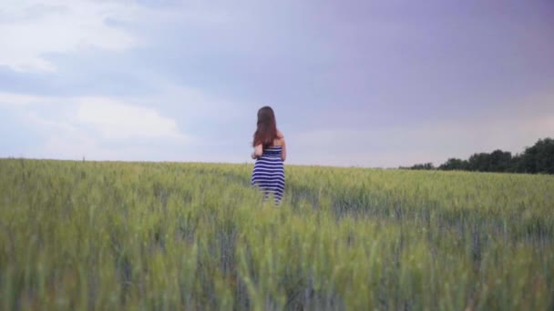 Усміхнена дівчина йде через пшеничне поле на заході сонця — стокове відео
