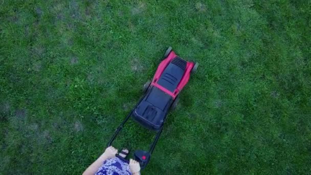 jeune femme fauche une herbe verte dans son propre jardin avec tondeuse à gazon. 4K 
