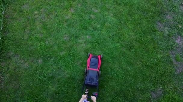 Die junge Frau mäht mit dem Rasenmäher ein grünes Gras im eigenen Garten. 4k — Stockvideo