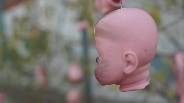 Horror heads and other parts of dolls hanging on trees — Stock Video
