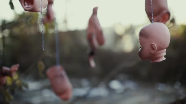 Kepala kengerian dan bagian lain dari boneka tergantung di pohon — Stok Video