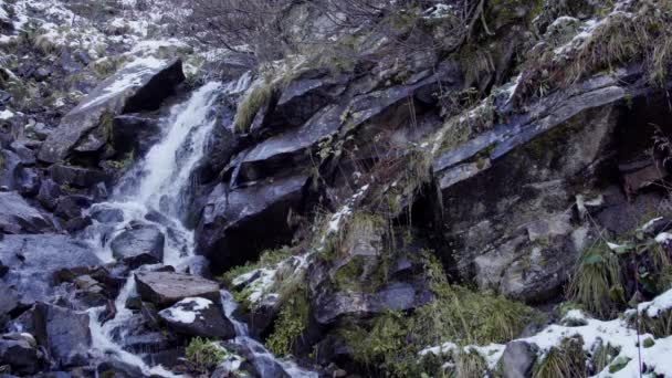 Kleine Waterval Bergen Carpathians Oekraïne — Stockvideo