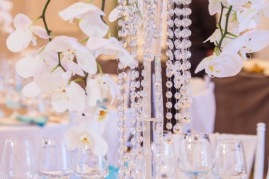 Beyaz orkide uzun dalları ile cam vazolar yemek masalarında standı