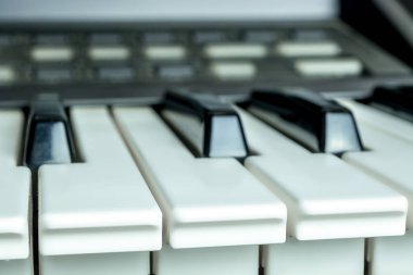 arka plan beyaz tuşlar blur_ odaklı detaylı piyano tuşları