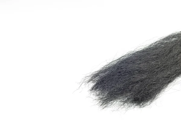 Haare Thema Detaillierte Schwarze Weibliche Haare Weißem Hintergrund — Stockfoto