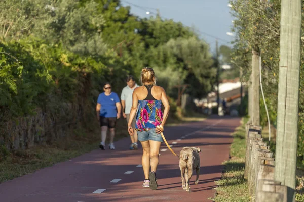 Pedonale Ciclabile Percorso Ecologico Donna Con Cane Persone Piedi Sfondo — Foto Stock