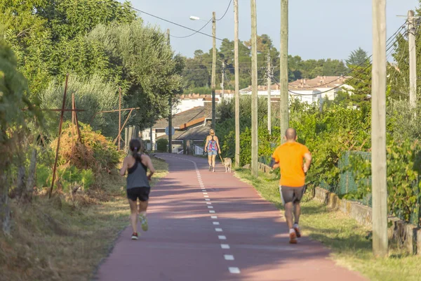 Pedonale Ciclabile Percorso Ecologico Donna Con Cane Persone Piedi Sfondo — Foto Stock