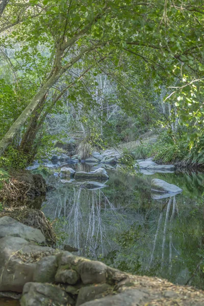 主题河 山上的树木 在葡萄牙水的边缘与岩石和植被和镜像图像 — 图库照片